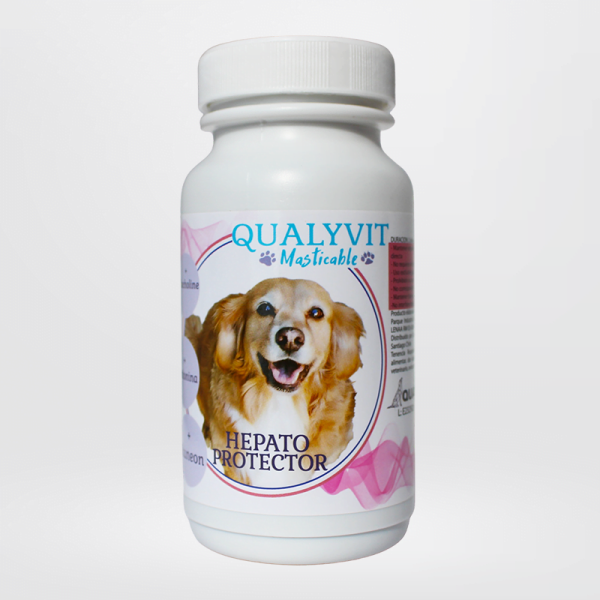 Hepato Protector para Perros Qualyvit
